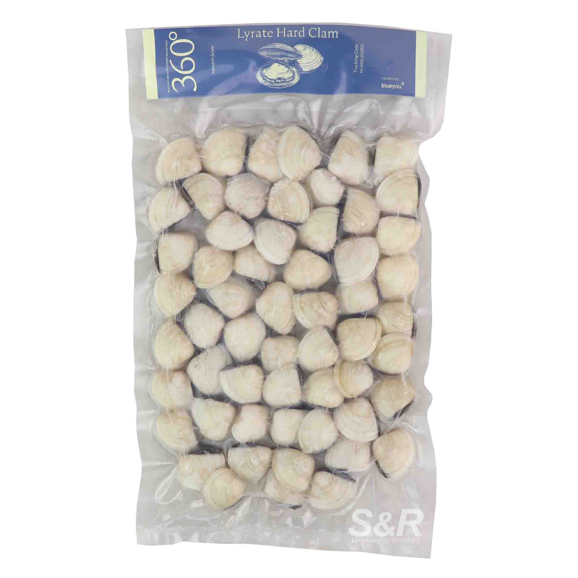 360° Lyrate Hard Clam 1kg 360° Lyrate Hard Clam 1kg